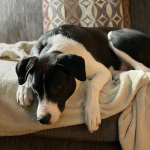 Meet your Posher, Catherine